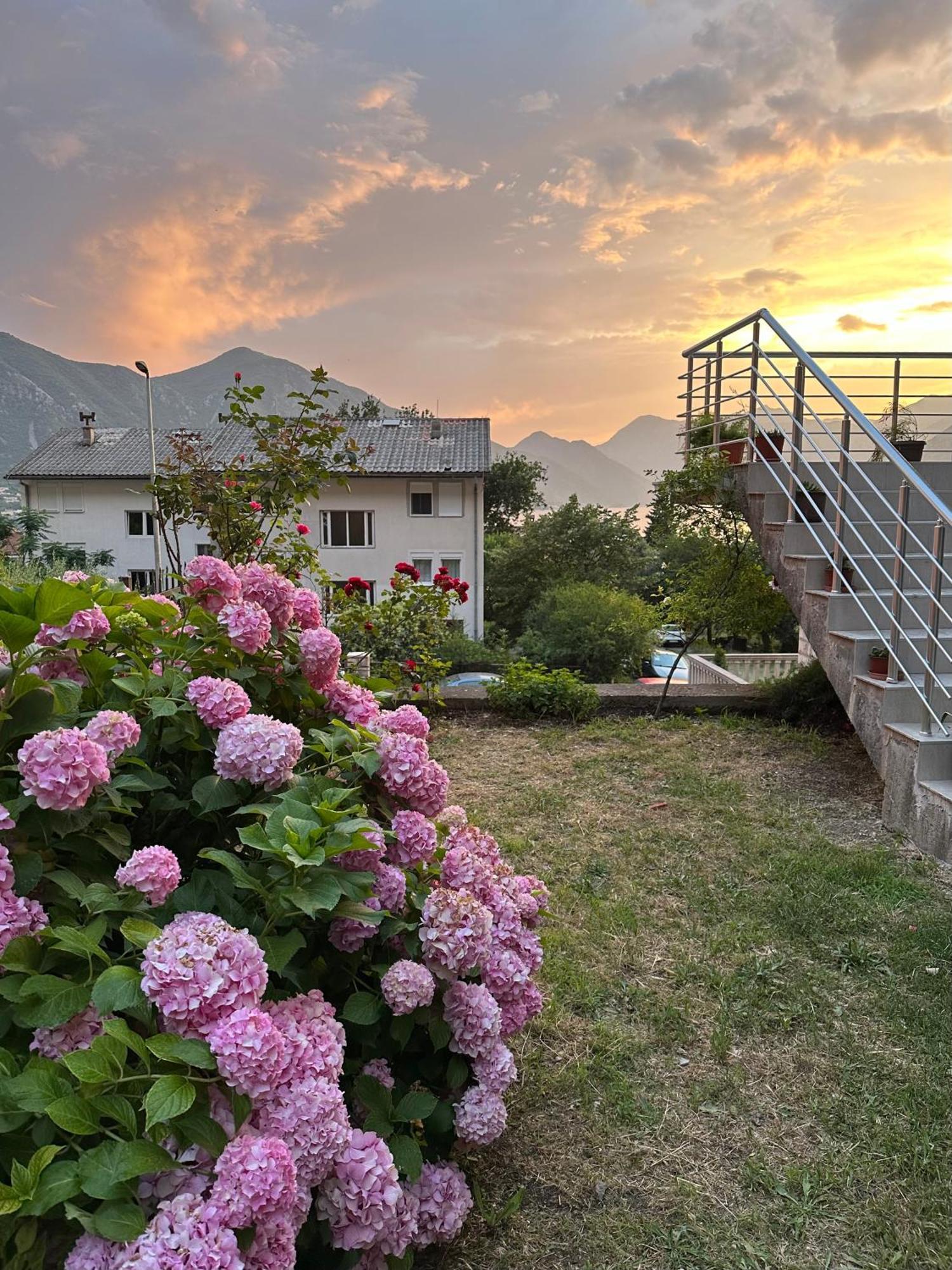 Sunny Apartment Kotor Luaran gambar